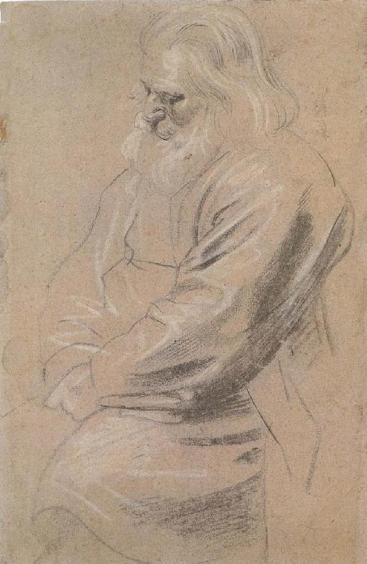Peter Paul Rubens Sitting  old man oil painting image